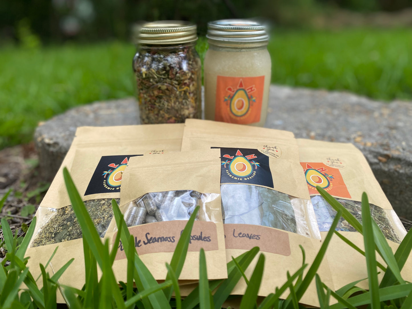 Freedom & Wellness Package